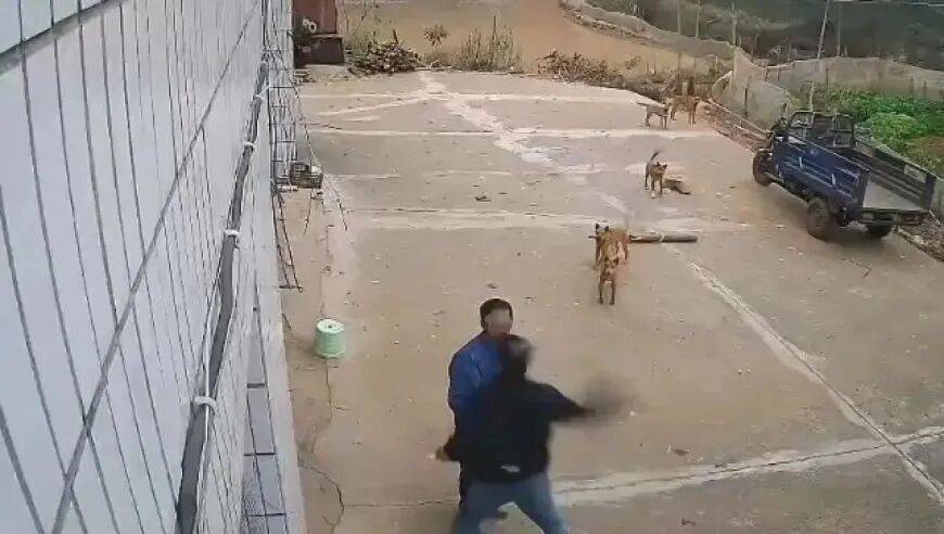 男子家门口吃橘子被邻居一拳打昏<strong></p>
<p>币圈空投</strong>，警方通报：因养狗问题起冲突，均有受伤