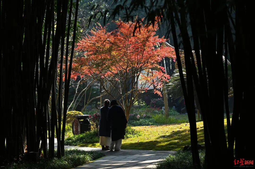 我国已进入拉尼娜状态<strong></p>
<p>海贝币</strong>！四川今冬或“前暖后冷”