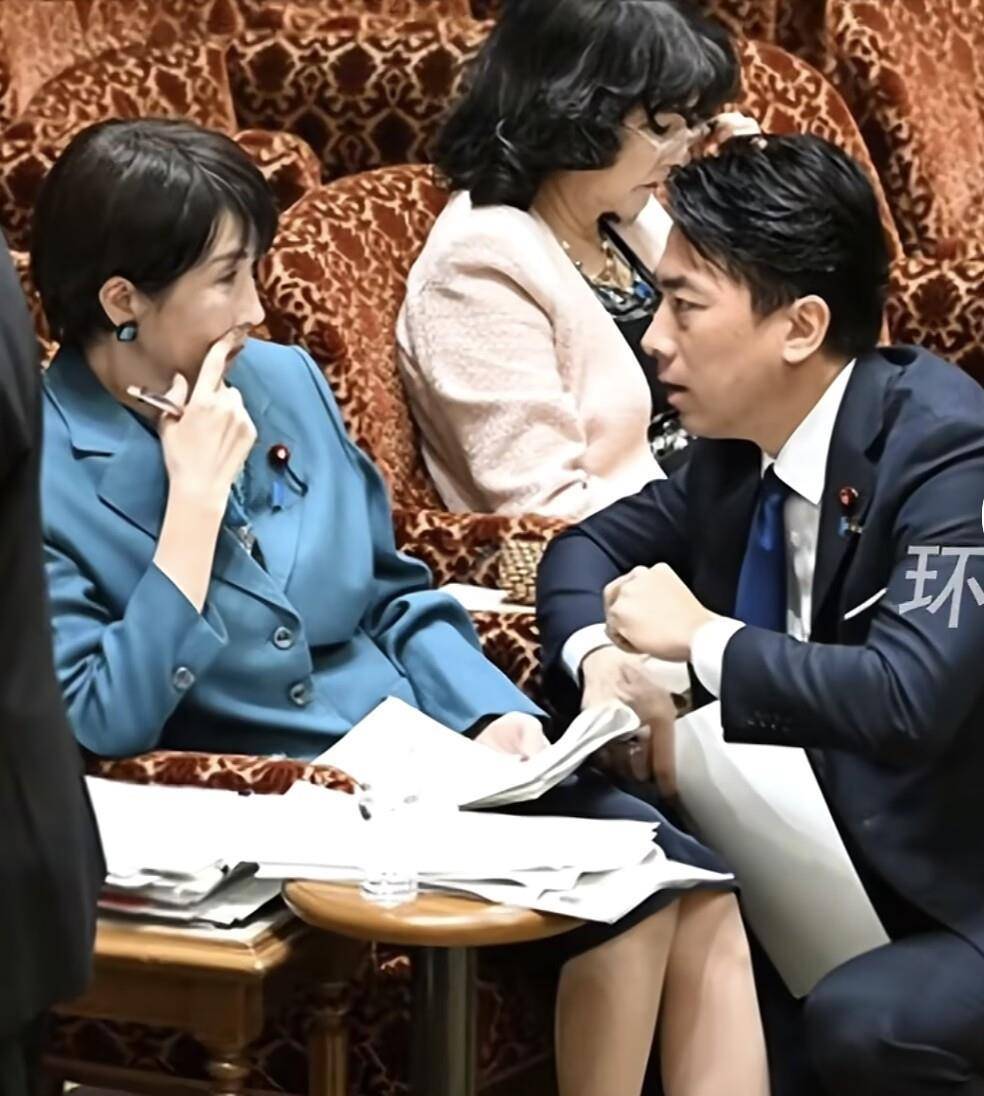 小泉进次郎跪地与高市早苗交谈<strong></p>
<p>海贝币</strong>，企图为高市发声，遭在野党强烈嘘声