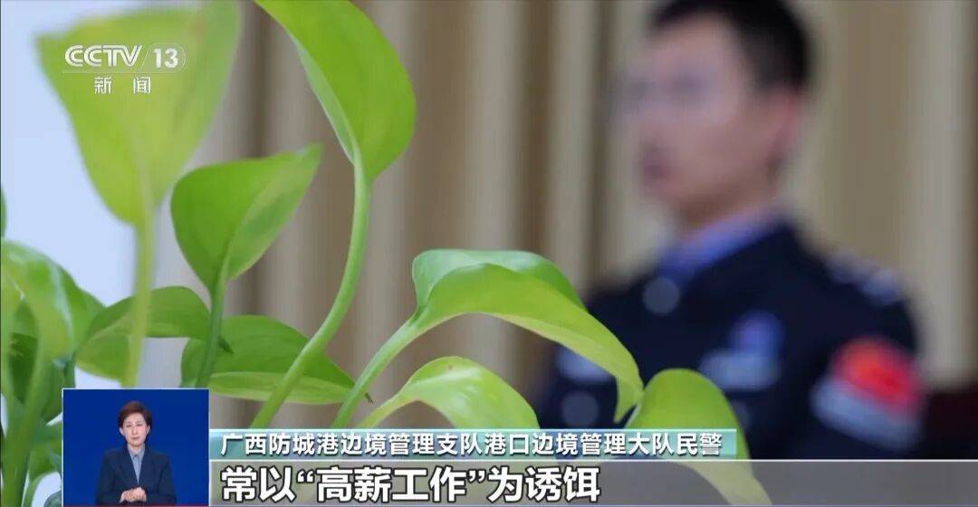 央视披露:男子在网吧厕所墙上看到“高薪日结5000-20000”广告<strong></p>
<p>欧罗巴币</strong>,即将出境时被警方拦下