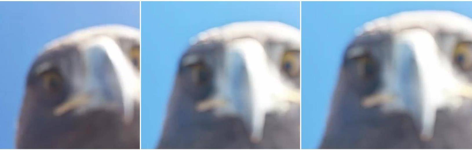 土耳其老鹰空中抓走无人机<strong></p>
<p>比德币</strong>,带上山顶“玩自拍”