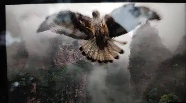 土耳其老鹰空中抓走无人机<strong></p>
<p>比德币</strong>,带上山顶“玩自拍”