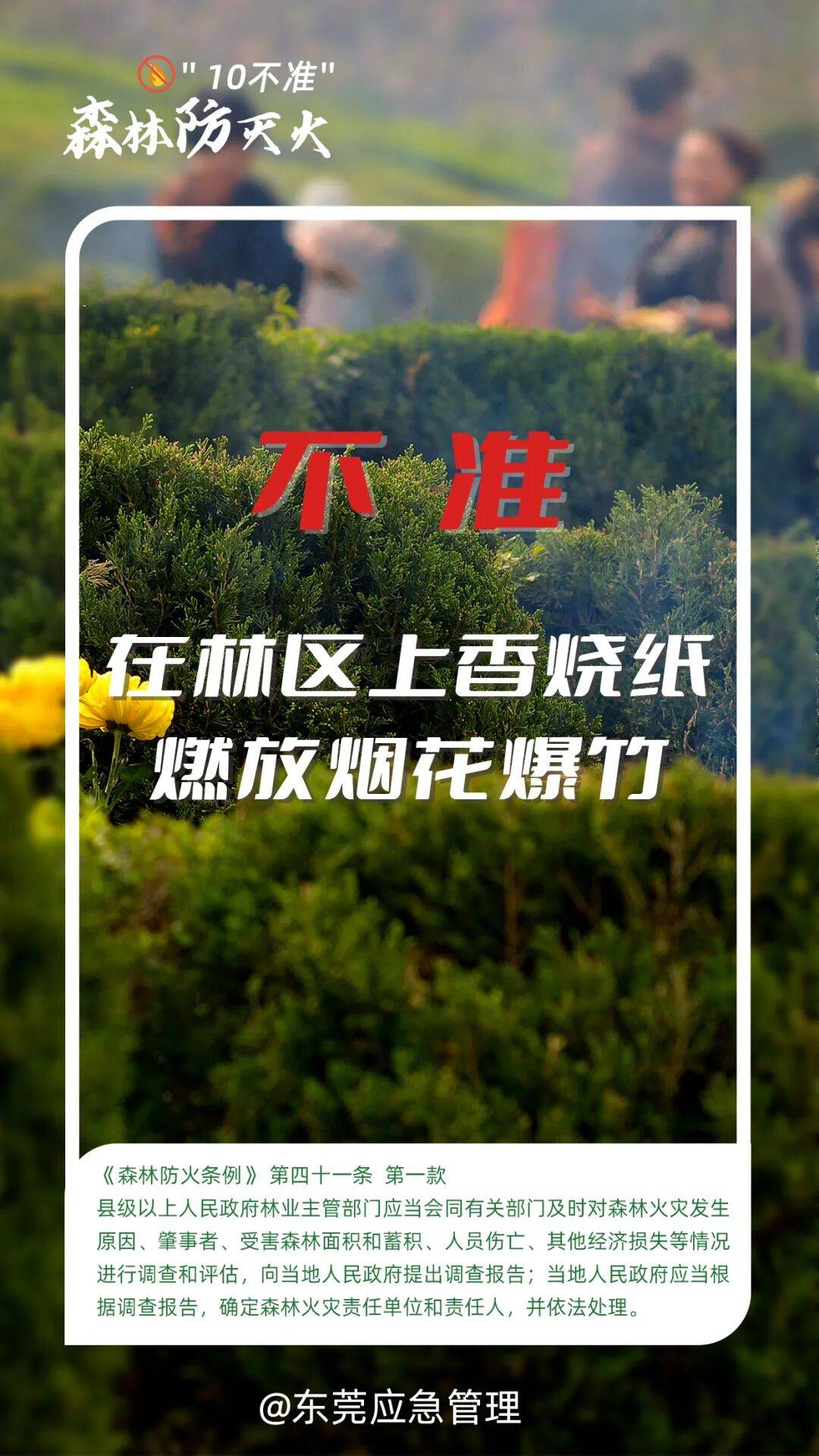 深圳坪山区突发山火<strong></p>
<p>币须网</strong>，最新通报：明火已扑灭，无人员伤亡
