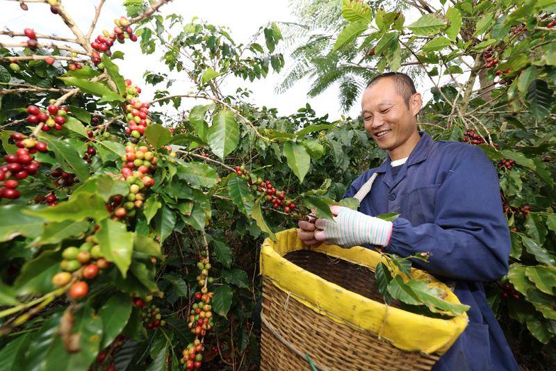 中老铁路首列云南咖啡豆专列发车