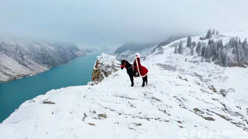 贺娇龙已安葬于昭苏公墓<strong></p>
<p>旺币</strong>，其父亲亦葬于此地